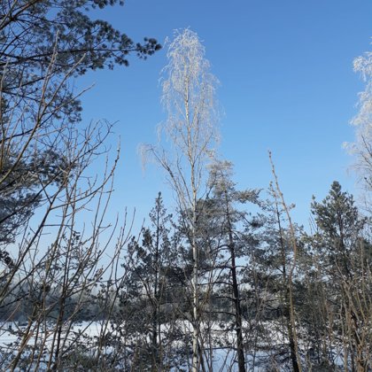 11. marts atkal sniegs uznāca